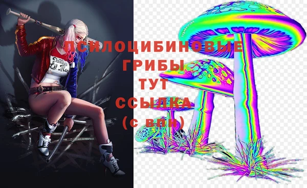 крисы Арсеньев