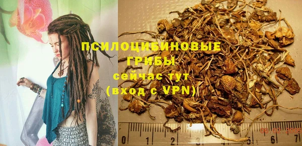 СК Няндома