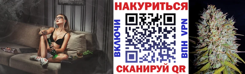 продажа наркотиков  Багратионовск  Конопля SATIVA & INDICA 